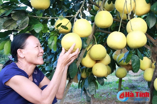 Hương Khê - Những mùa quả ngọt