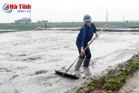 Thực hiện nghiêm công điện của Thủ tướng về phòng chống rét hại
