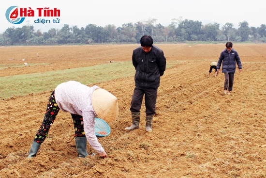 Hương Sơn quyết tâm giành vụ xuân thắng lợi