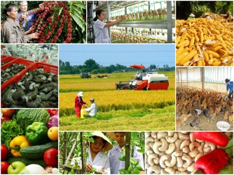 Sớm ban hành tiêu chí huyện nông thôn mới