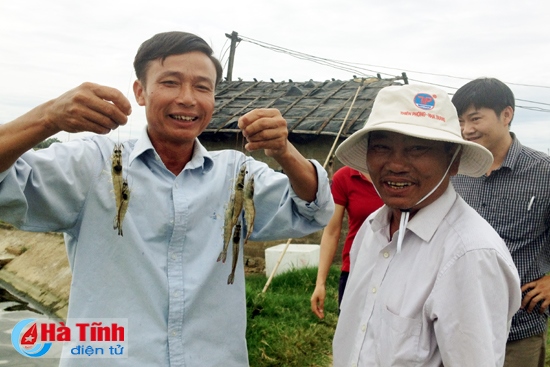 Tăng hiệu quả bền vững cho tôm nuôi