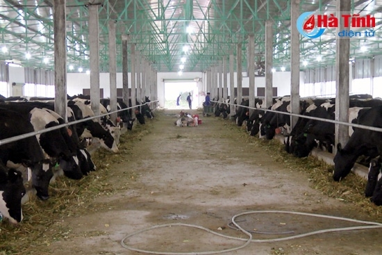 Đức Thọ cụ thể hóa các đề án sản xuất trong xây dựng NTM