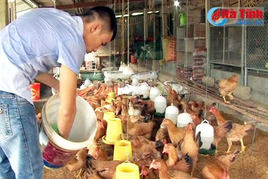 Ra mắt mô hình hợp tác xã kinh tế thanh niên Kỳ Tân