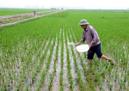 Hướng dẫn chăm sóc các cây trồng vụ Xuân 2016