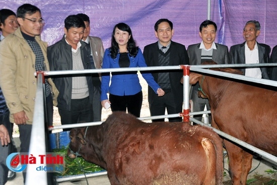 Đổi mới đào tạo, bồi dưỡng cán bộ xây dựng nông thôn mới