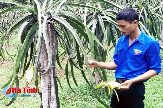 Những ông chủ trẻ trên miền sơn cước