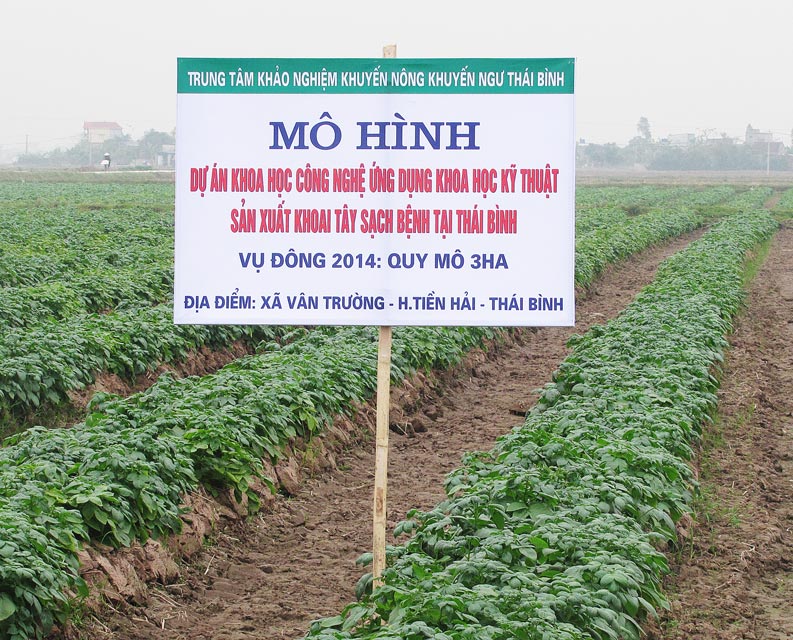 Dấu ấn ở vùng “biển bạc”