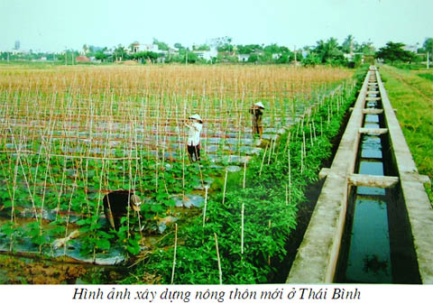 Ảnh minh họa (nguồn Internet)