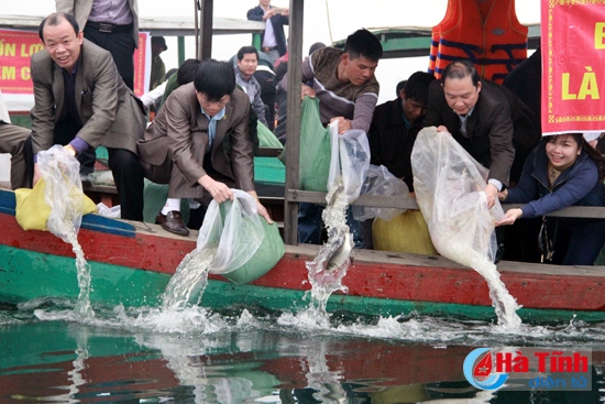 Thả 6 tạ cá giống tái tạo nguồn lợi thủy sản