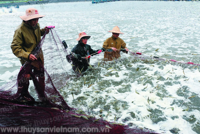 Nét riêng Nông thôn mới Hà Tĩnh