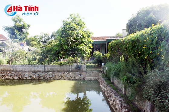 Vườn mẫu - diện mạo mới trong khu dân cư