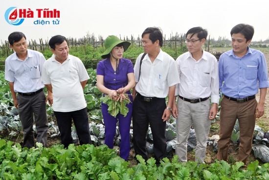 Hội Nông dân Quảng Trị ấn tượng với các mô hình sản xuất của Hà Tĩnh