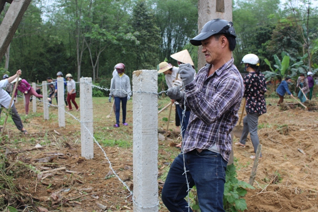 Giúp xây dựng hàng rào thép gai