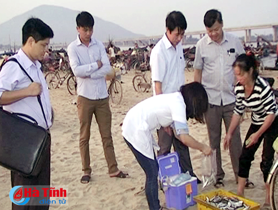 Không phát hiện xyanua, phenol trong hải sản ở Hà Tĩnh
