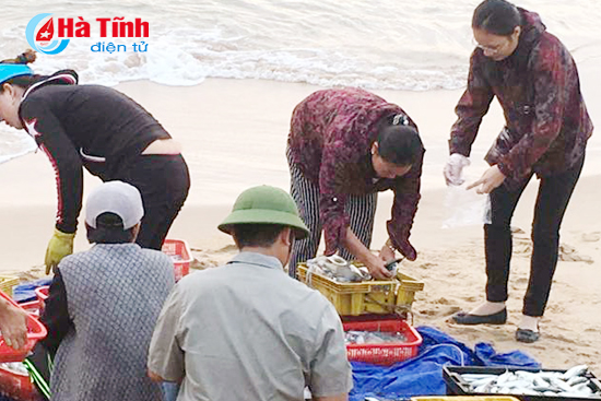 Kết quả kiểm nghiệm các mẫu hải sản tại Hà Tĩnh ngày 2/5