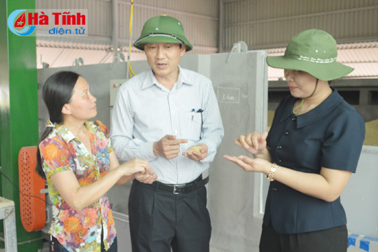 chu trong loc dong de co nguon giong tot phuc vu san xuat