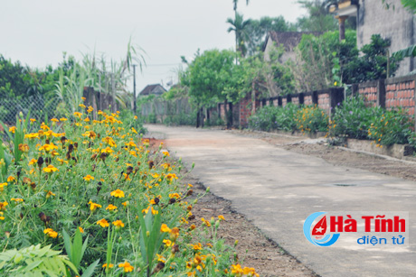 mat xanh khu dan cu kieu mau yen my