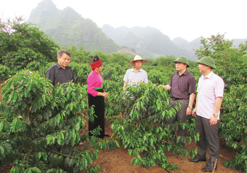 Tạo tiền đề thuận lợi cho nông thôn mới