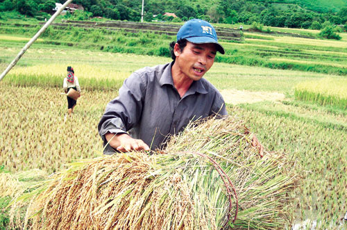 Xây dựng nông thôn mới: “Nhanh phải đi liền với vững chắc”