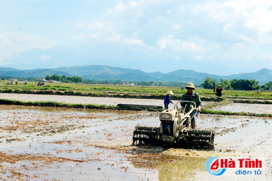 Gieo cấy lúa hè thu: Chạy đua với thời gian!
