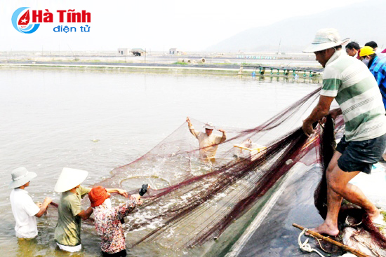 Tăng cường cho vay các chương trình giảm nghèo