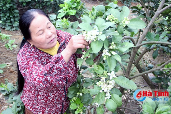 15 tác phẩm đạt Giải Báo chí về gương người tốt - việc tốt, xây dựng NTM