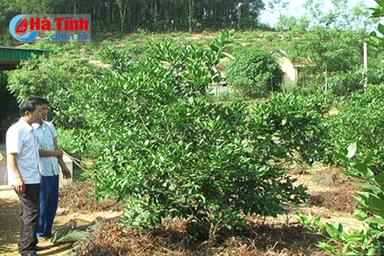 Xây vườn mẫu, đời sống cao
