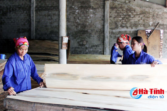 Hà Tĩnh tăng cường quản lý các cơ sở chế biến lâm sản