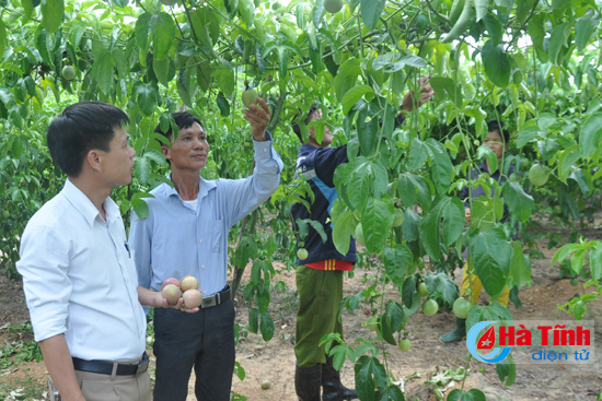 Kinh tế tập thể Hà Tĩnh - Những gam màu sáng