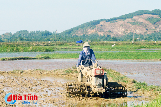’Vắt chân’ chạy đuổi hè thu
