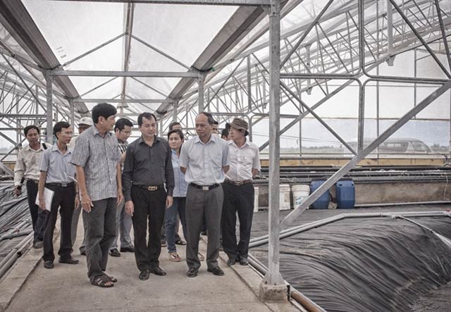 Nuôi tôm trúng tiền tỷ nhờ kỹ thuật mới