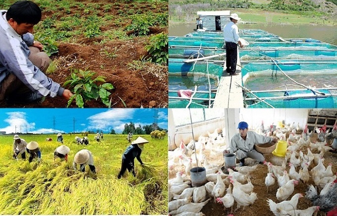 Nghị quyết 35 mở ra một tiền đề rất lớn cho phát triển nông nghiệp