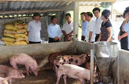 Bí thư Tỉnh ủy kiểm tra tiến độ xây dựng NTM tại Hương Khê