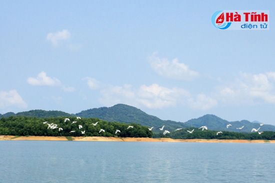 Đánh thức tiềm năng du lịch sinh thái rừng