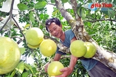 Chương trình 135: Tiếp sức cho người nghèo Hương Khê