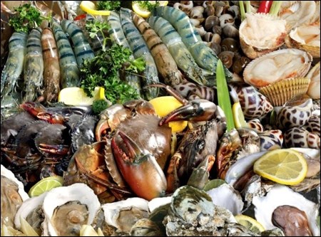 Hải sản đứng đầu bảng về chứa chất cấm, kháng sinh