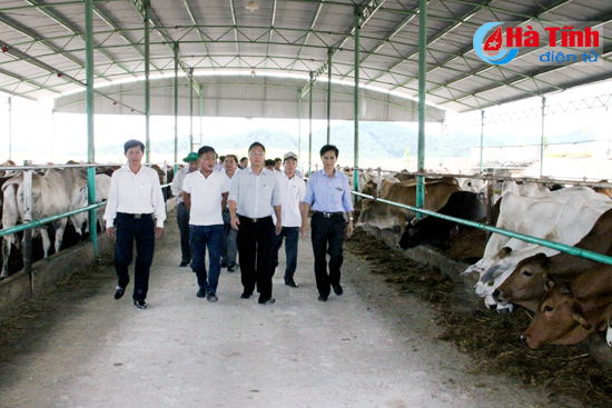 Thành công của Hà Tĩnh là kinh nghiệm quý để Quảng Nam học tập