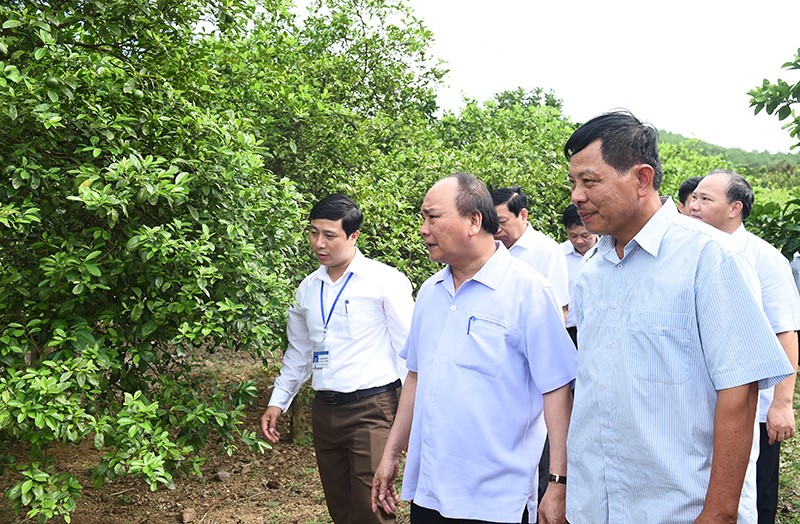 Thủ tướng Nguyễn Xuân Phúc: “Xây dựng nông thôn mới đời sống phải tốt hơn”