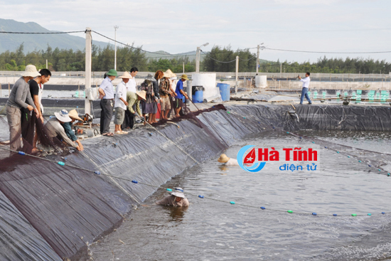 Lãi gần 2 tỷ đồng vụ nuôi tôm sinh học