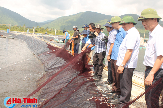 lanh dao tinh kiem tra du an nuoi tom sinh hoc tren cat tai ky nam