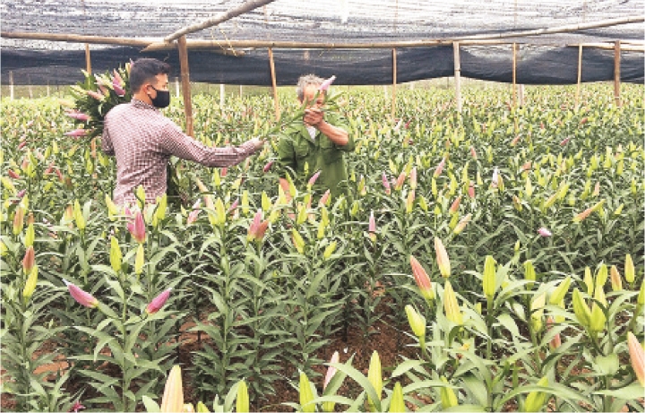 Huy động các nguồn lực giúp 35 xã về đích nông thôn mới
