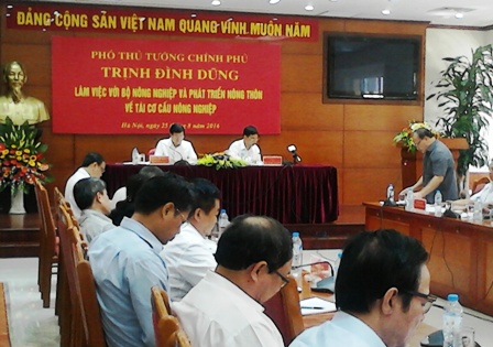 Tái cơ cấu ngành nông nghiệp – yếu tố quan trọng phát triển sản xuất kinh doanh toàn ngành