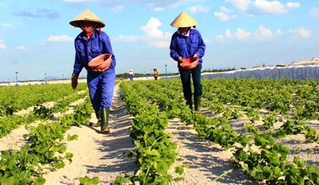 Xây dựng nông thôn mới ở Hà Tĩnh Khi ý Đảng hợp lòng dân