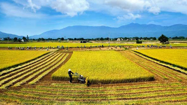 Khai thông tín dụng cho nông nghiệp