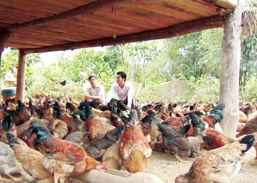 Huyện Lạc Sơn: Thành công từ sự đồng thuận
