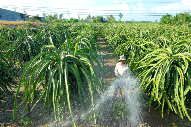Long An: Cần 11 ngàn tỷ xây dựng nông thôn mới