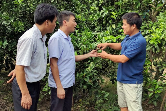 Kỹ sư cơ khí thành tỷ phú nhờ... cam, bưởi