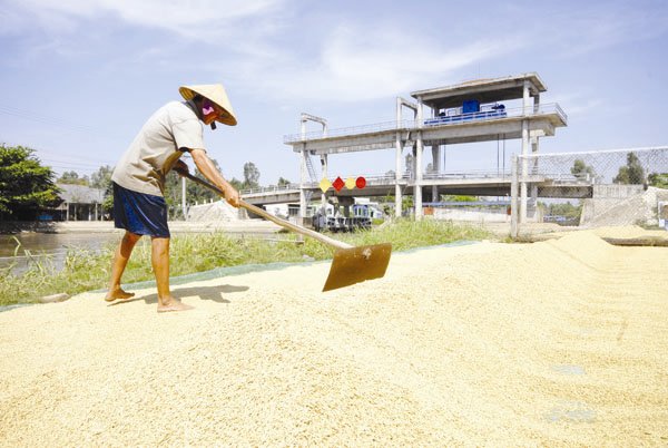 Cần nhận thức rằng, nông thôn mới là của người dân, hướng đến phục vụ nhu cầu thiết thân của người dân, đó là nâng cao thu nhập của người dân. Ảnh: LÊ HOÀNG VŨ