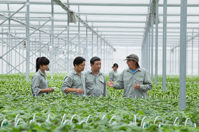 Đi tìm mô hình liên kết hiệu quả trong nông nghiệp