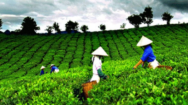 Bổ sung cơ chế thu hút đầu tư vào nông nghiệp
